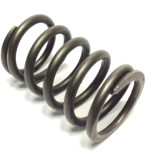 A10VSO18 silindri bloki vedru, hydroshop.ee